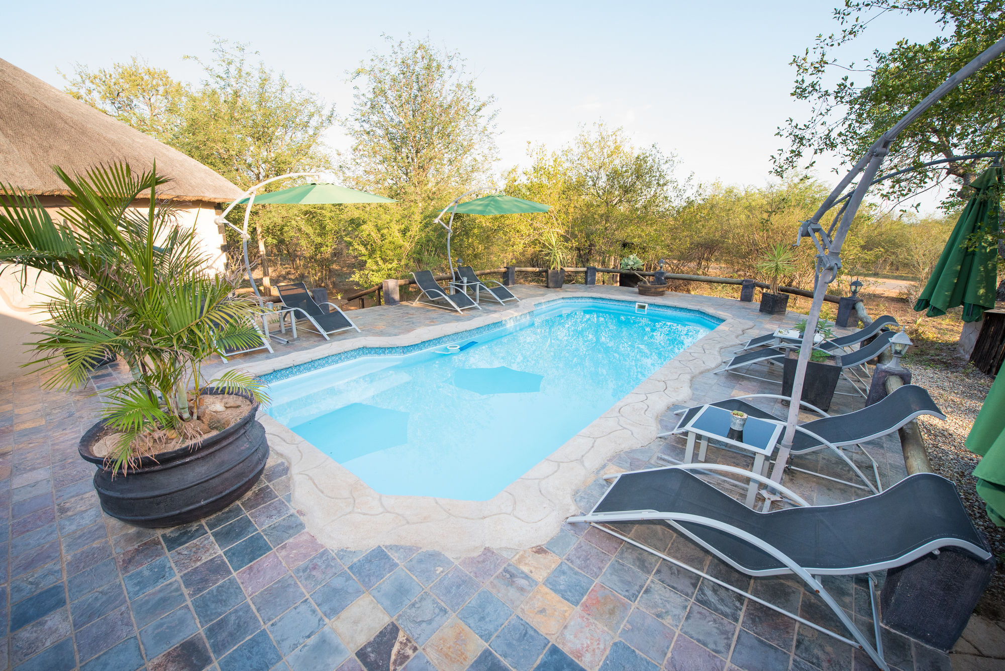 Фото African Rock Lodge