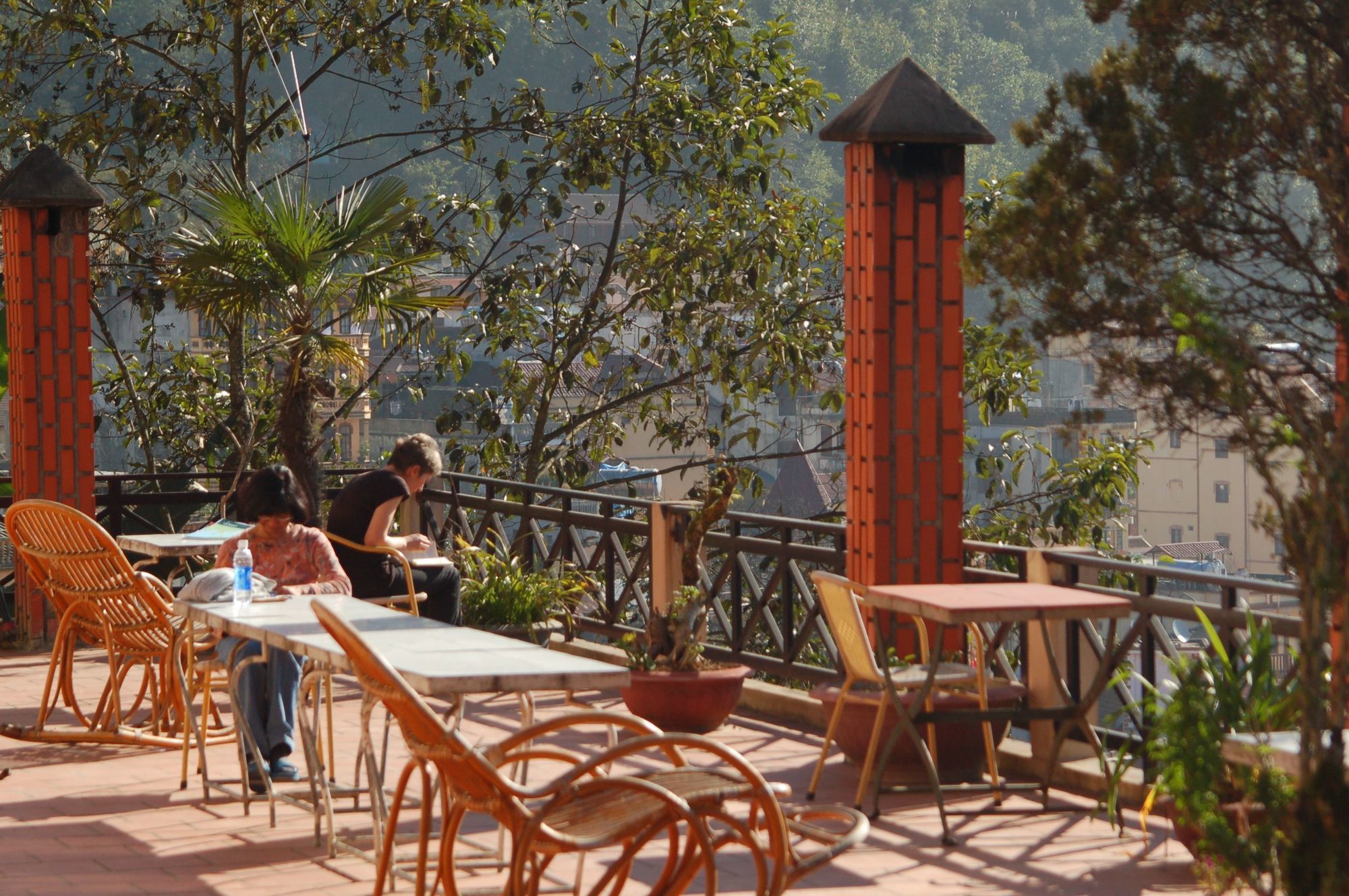 Фото Cat Cat View