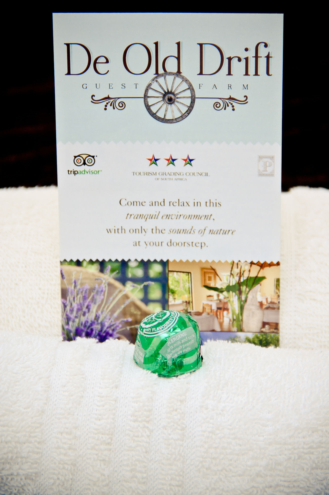 Фото De Old Drift Guest Farm