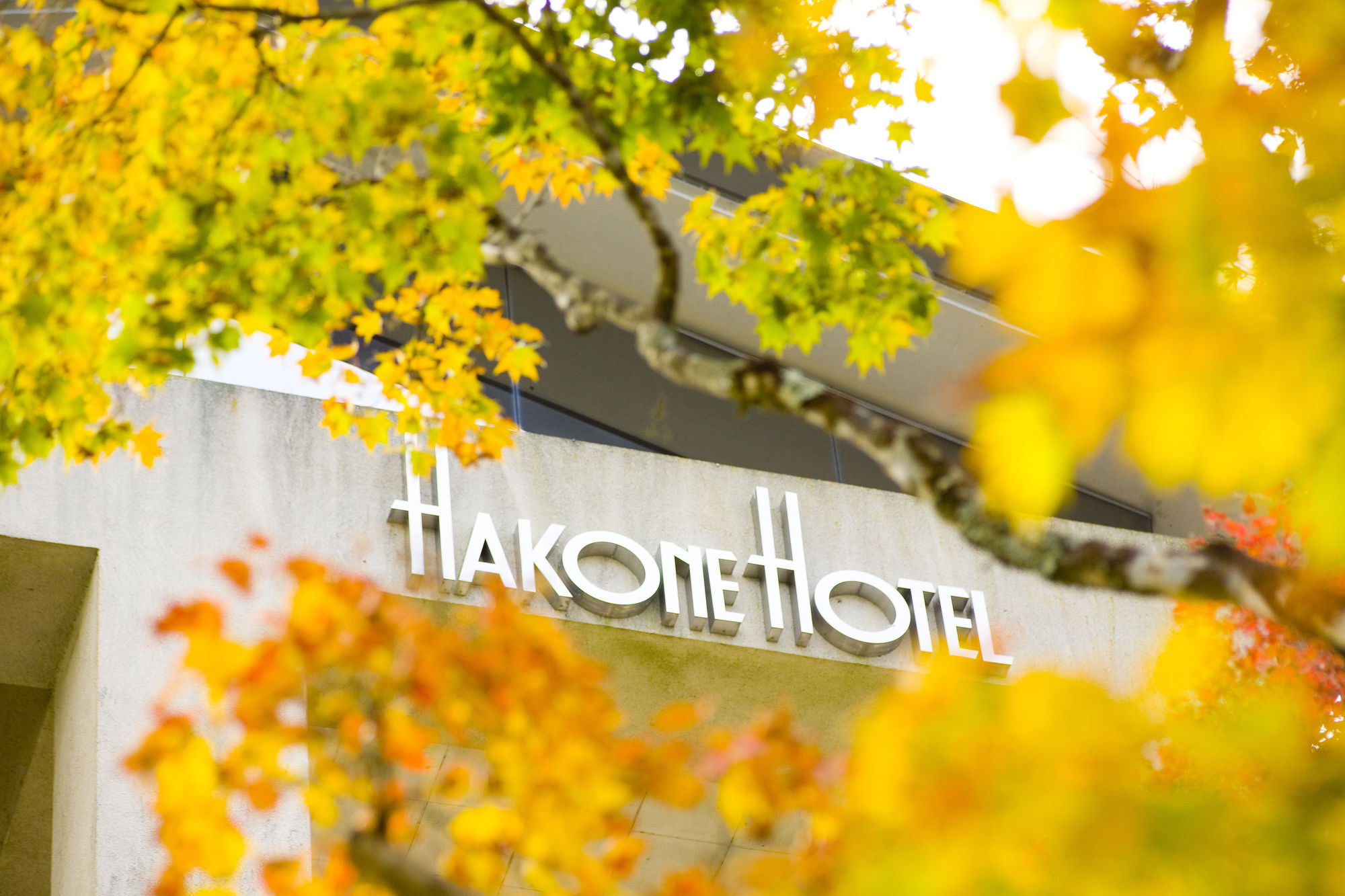 Фото Hakone Hotel