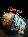 Дикая роза (derevnya Vartemyagi, Priozerskoye Highway, 124/А) ، محل زهور