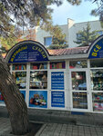 Книги сумки (Pionerskiy prospekt, 30), bookstore
