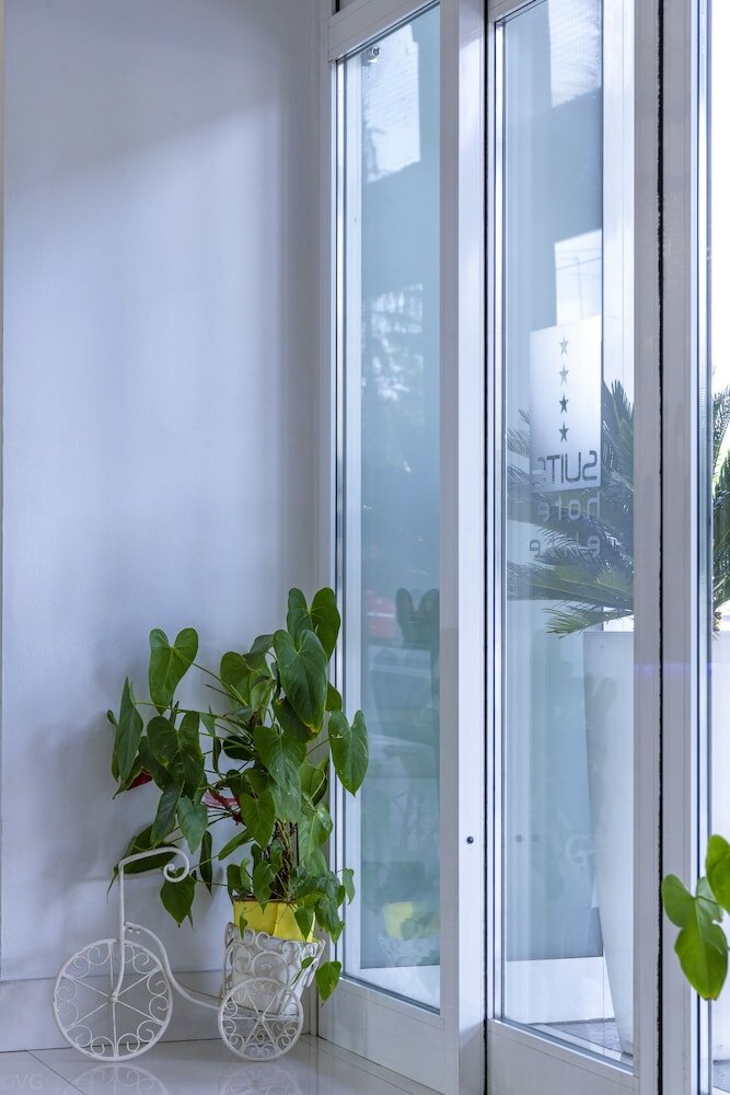 Фото Suite Hotel Elite