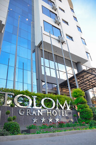 Гостиница Gran Hotel Toloma
