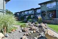Фото Best Western Plus Tree House