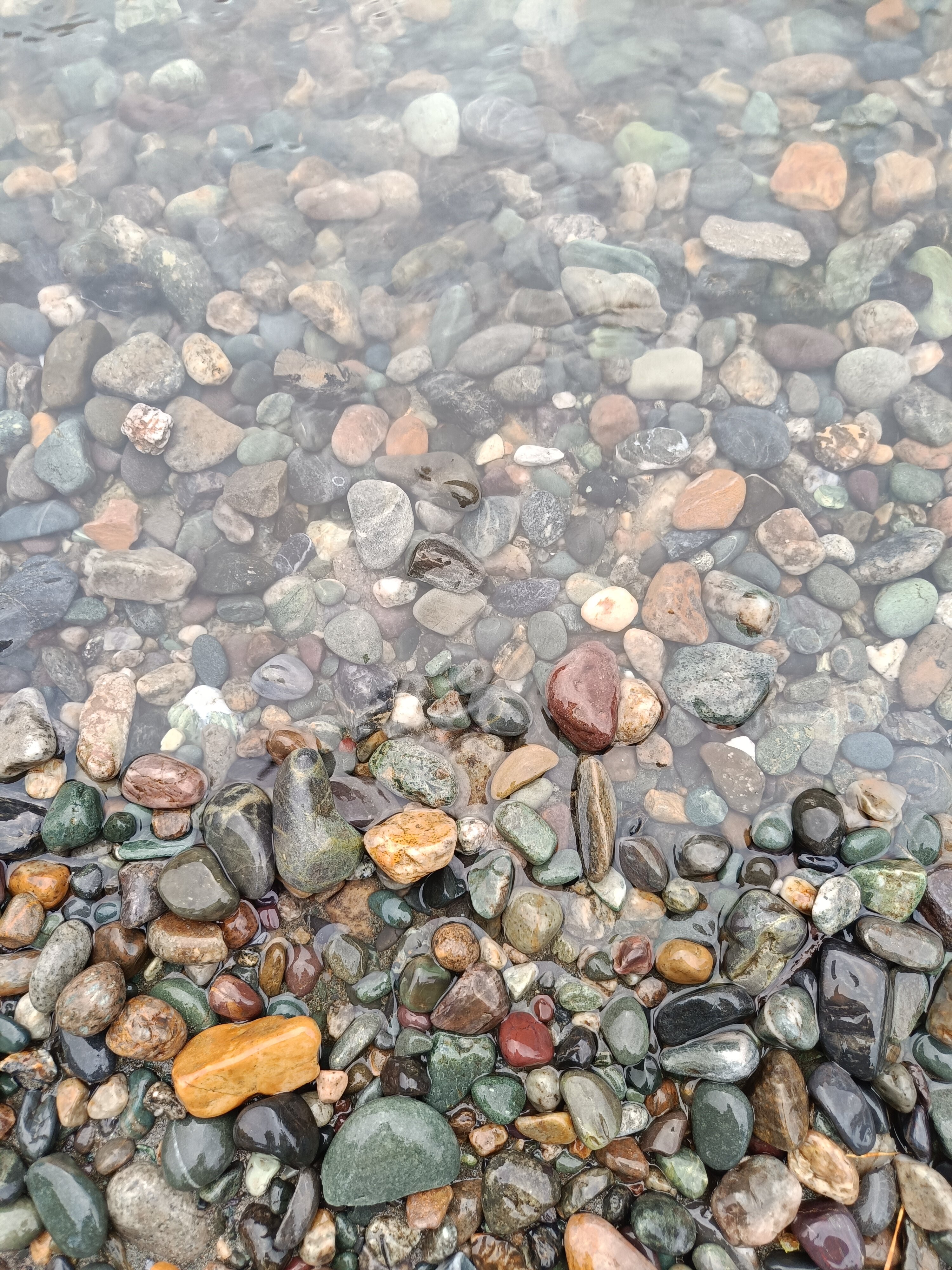 Фото Друзья