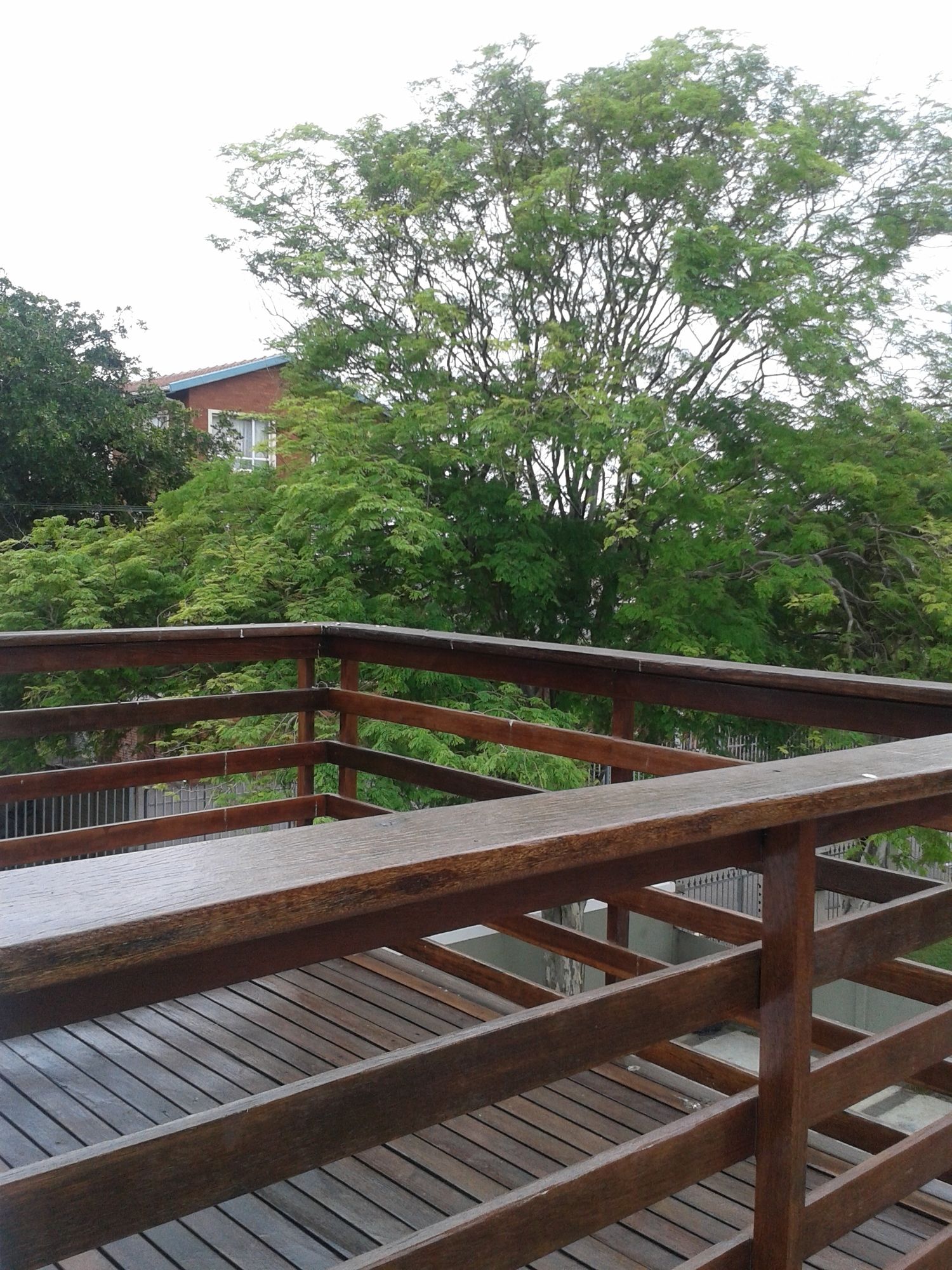 Фото Beechwood B&b