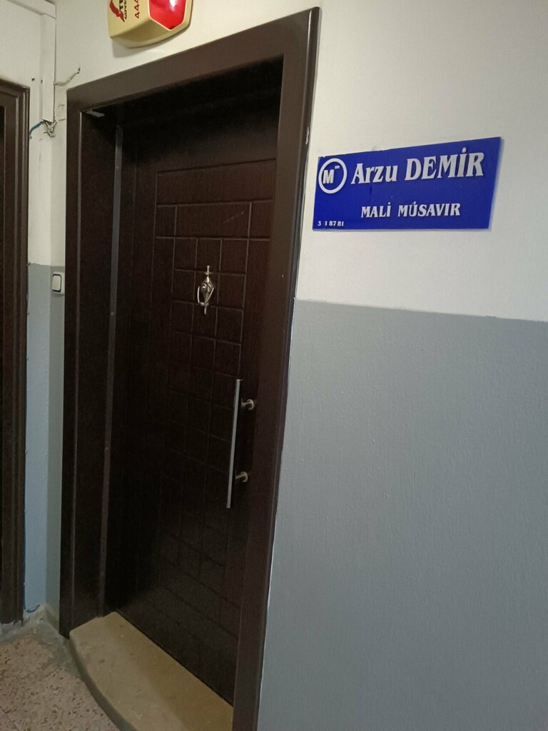 Tax consultants Arzu Demir Mali Müşavir, Izmir, photo