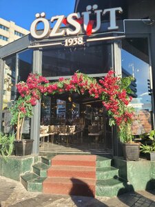 Ozsut (Ankara Province, Cankaya District, Ziya Gökalp Cad., 8) ، مقهى