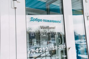 Какаду