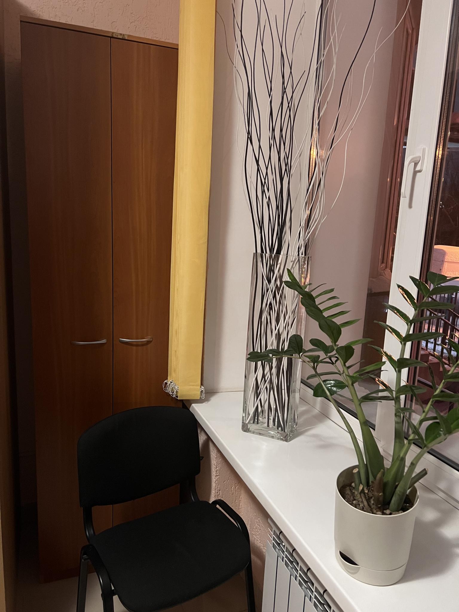 Фото Пионер