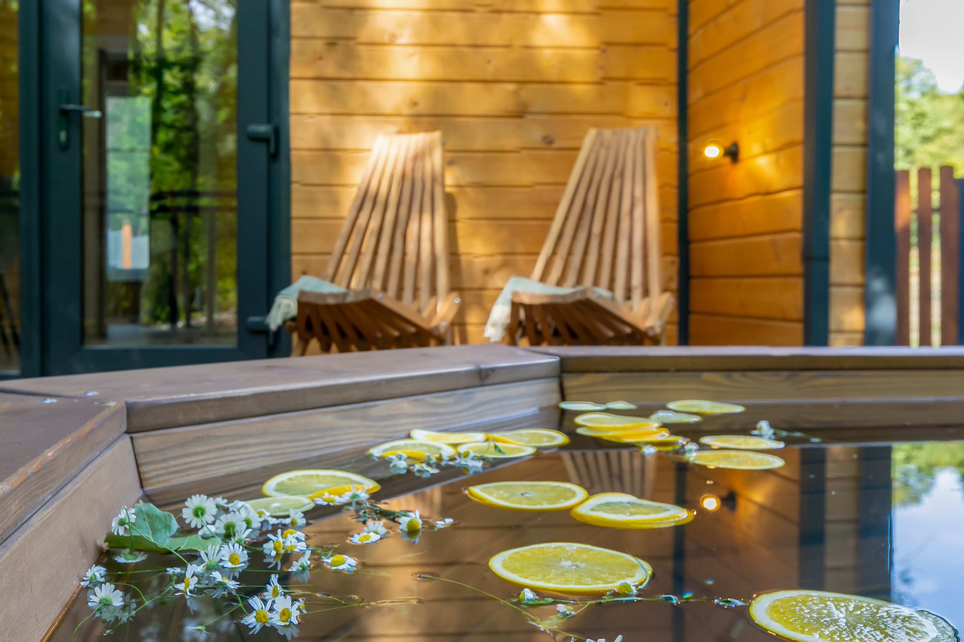 Фото Шелест