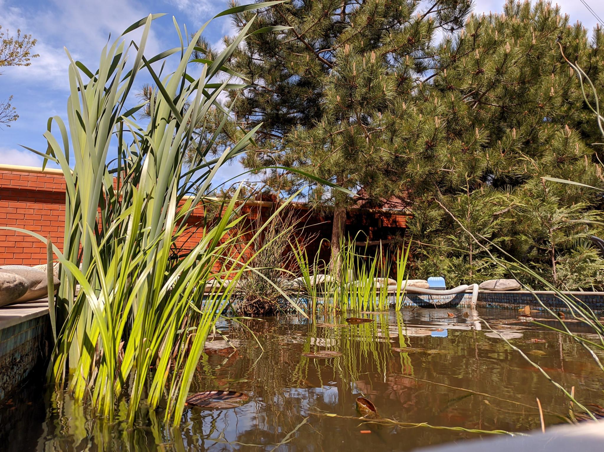 Фото Солнечная Гавань