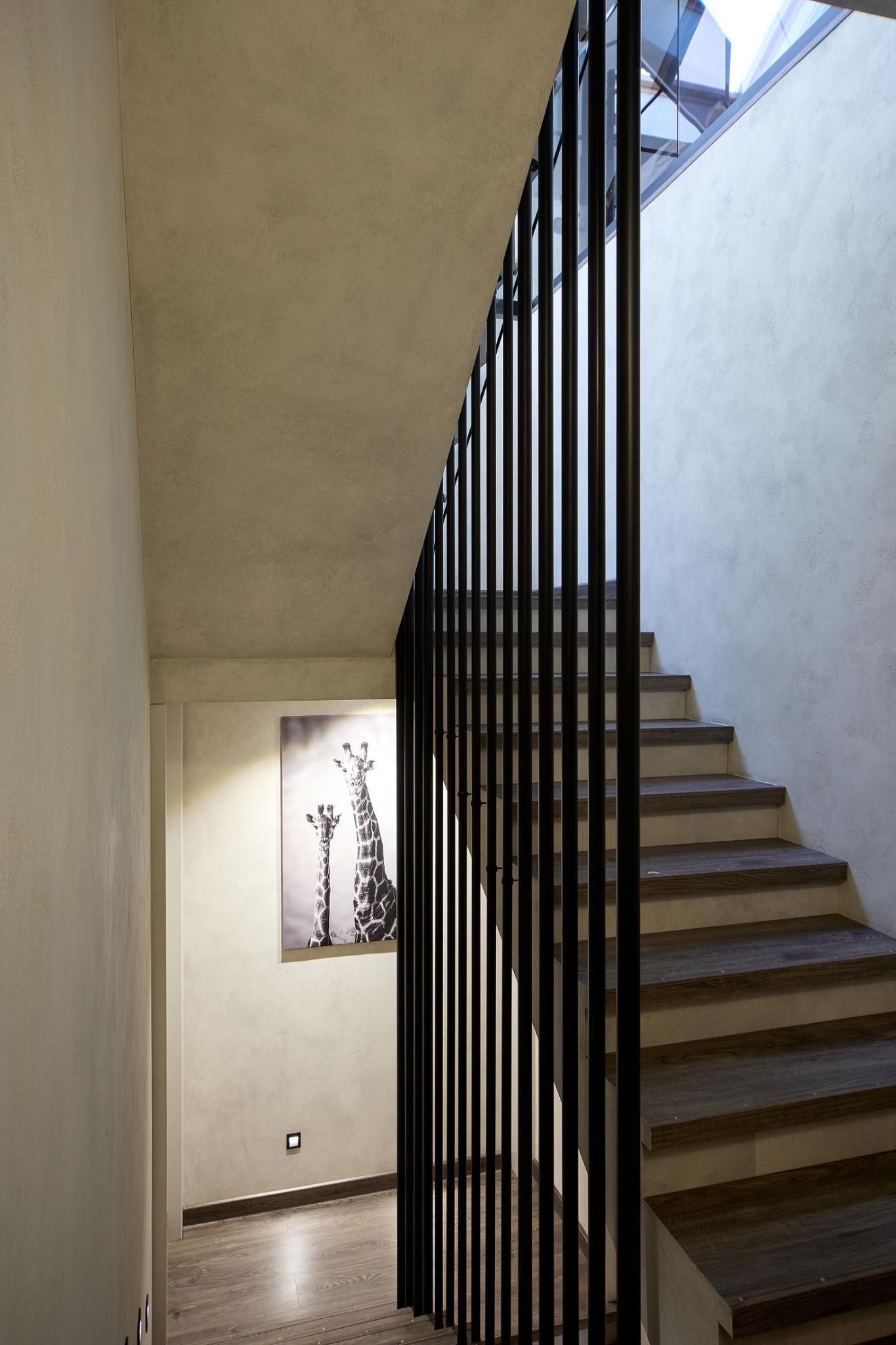 Фото Иркутский кедр