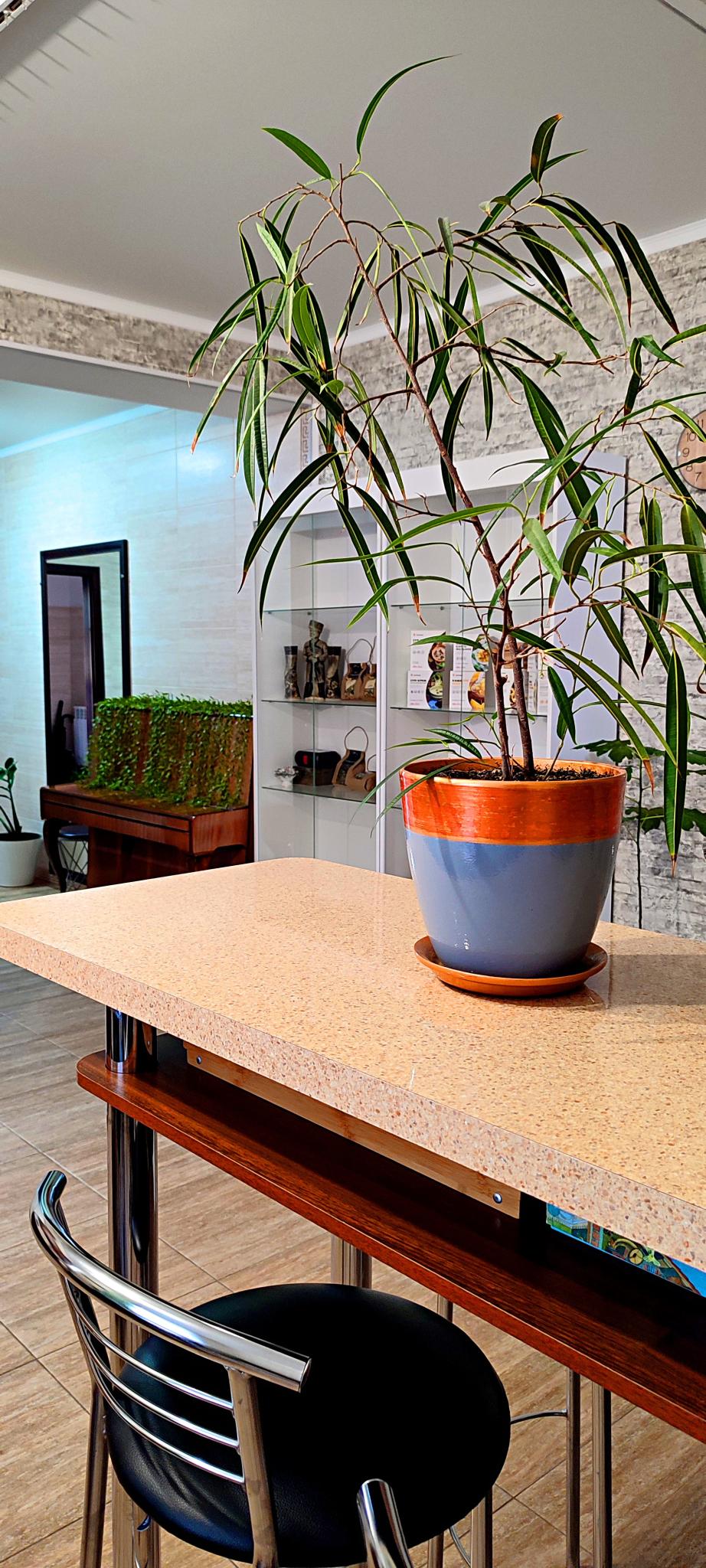 Фото Эко Хаус