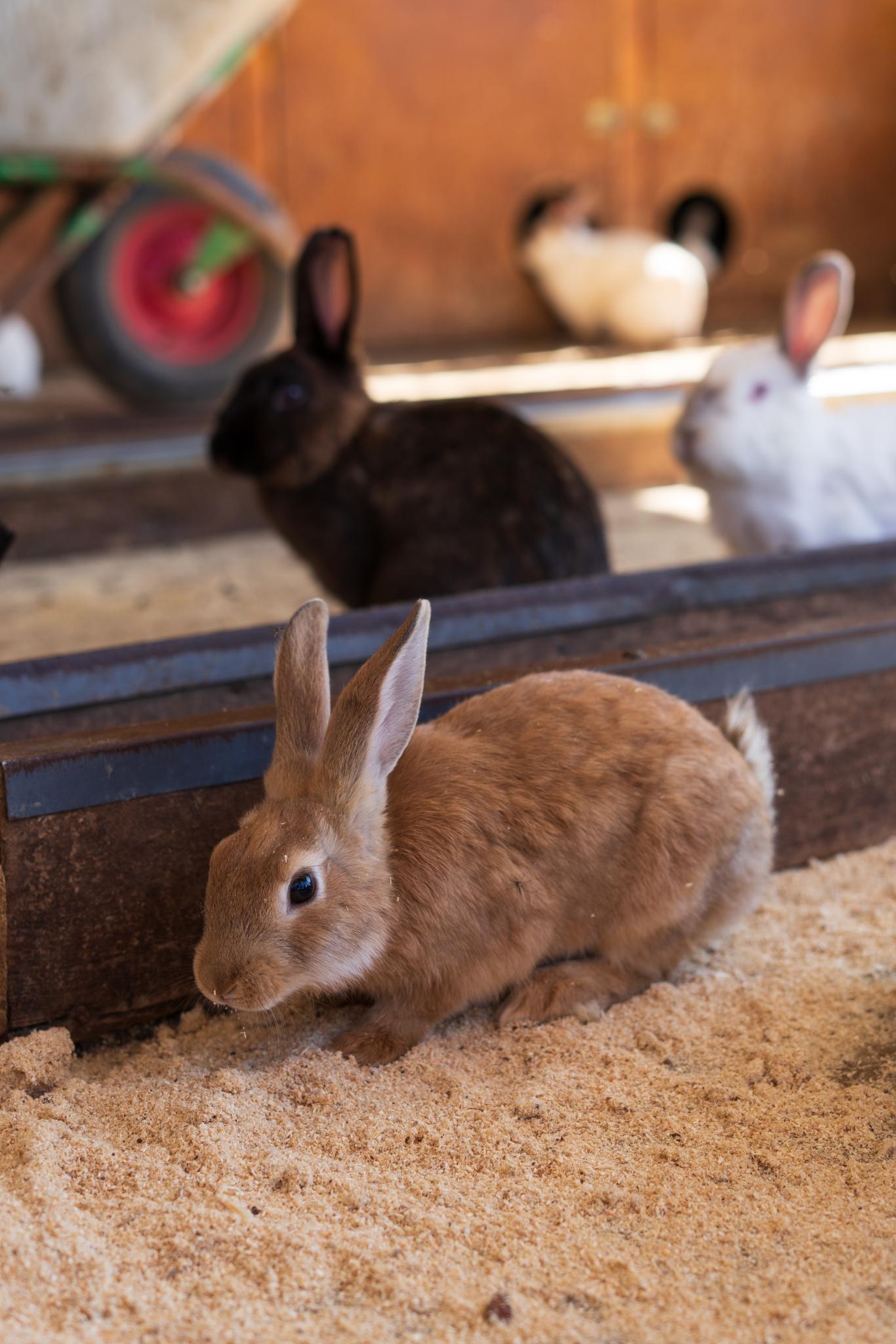 Фото Экоферма Вьюхово