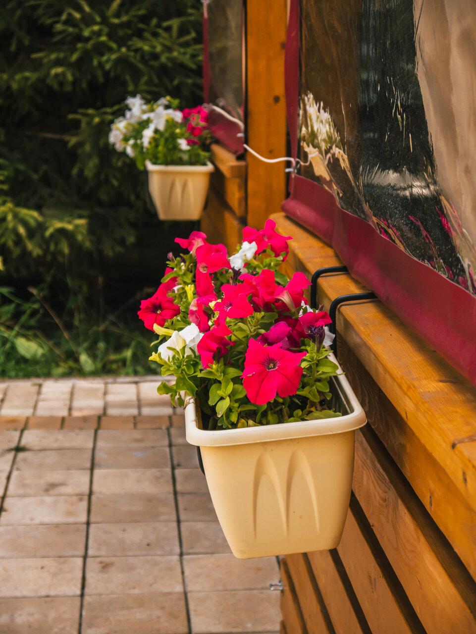 Фото Pride Hotel