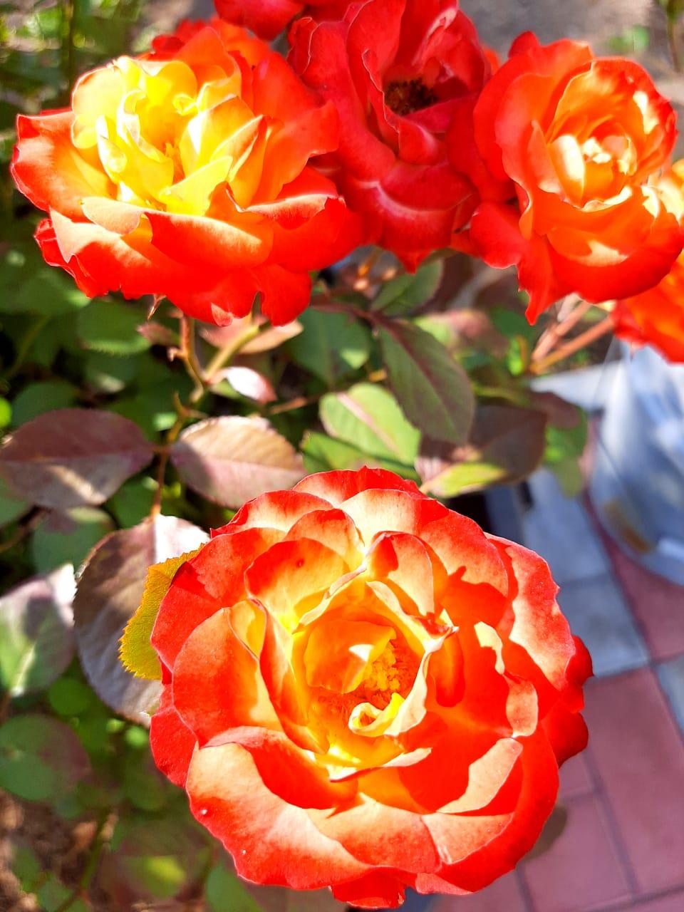 Фото Камчатдар