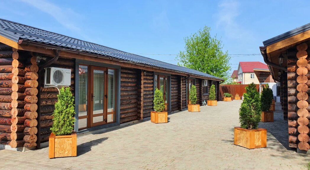 Фото Золотой дуб