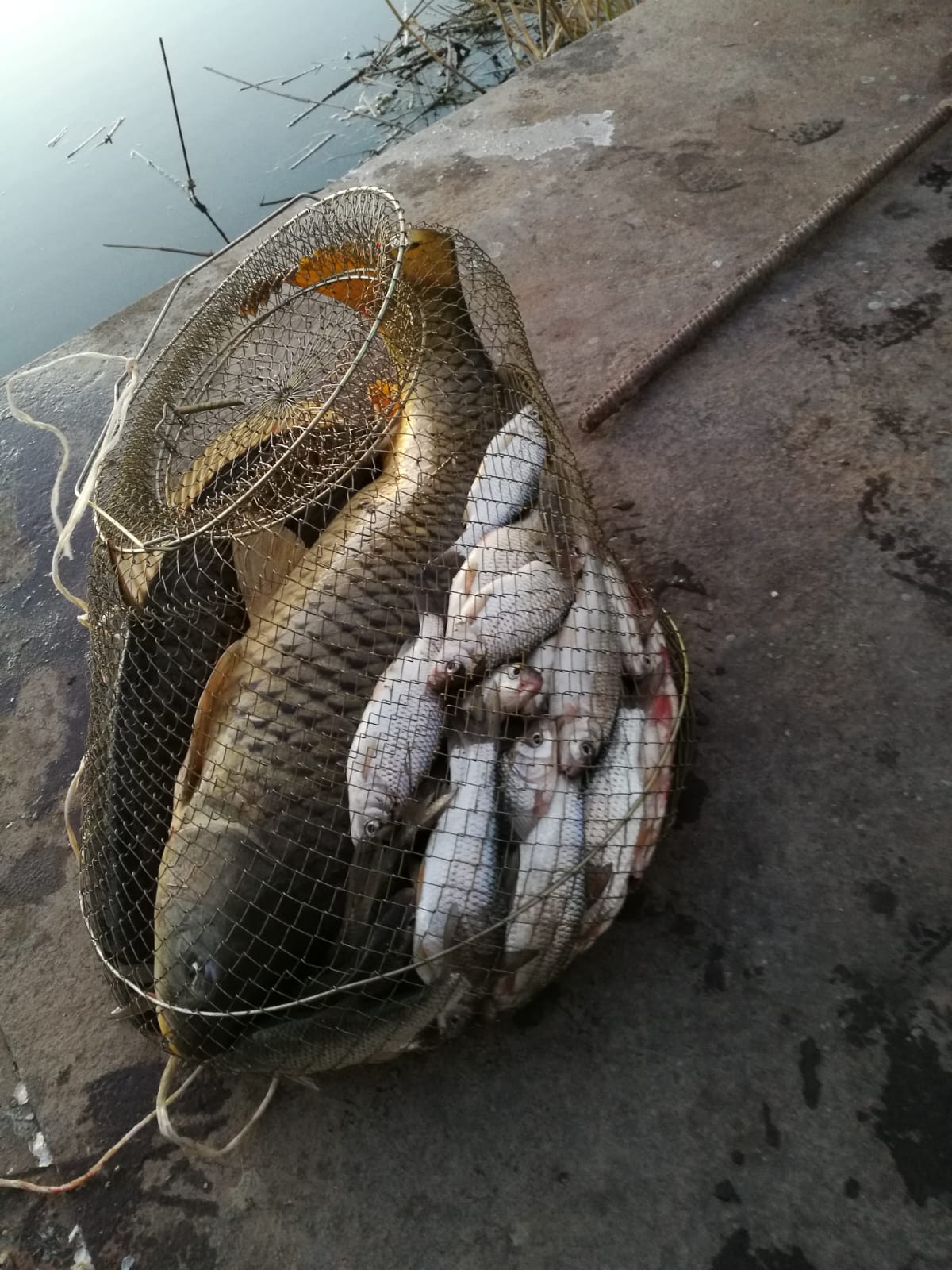 Фото У Анатолича