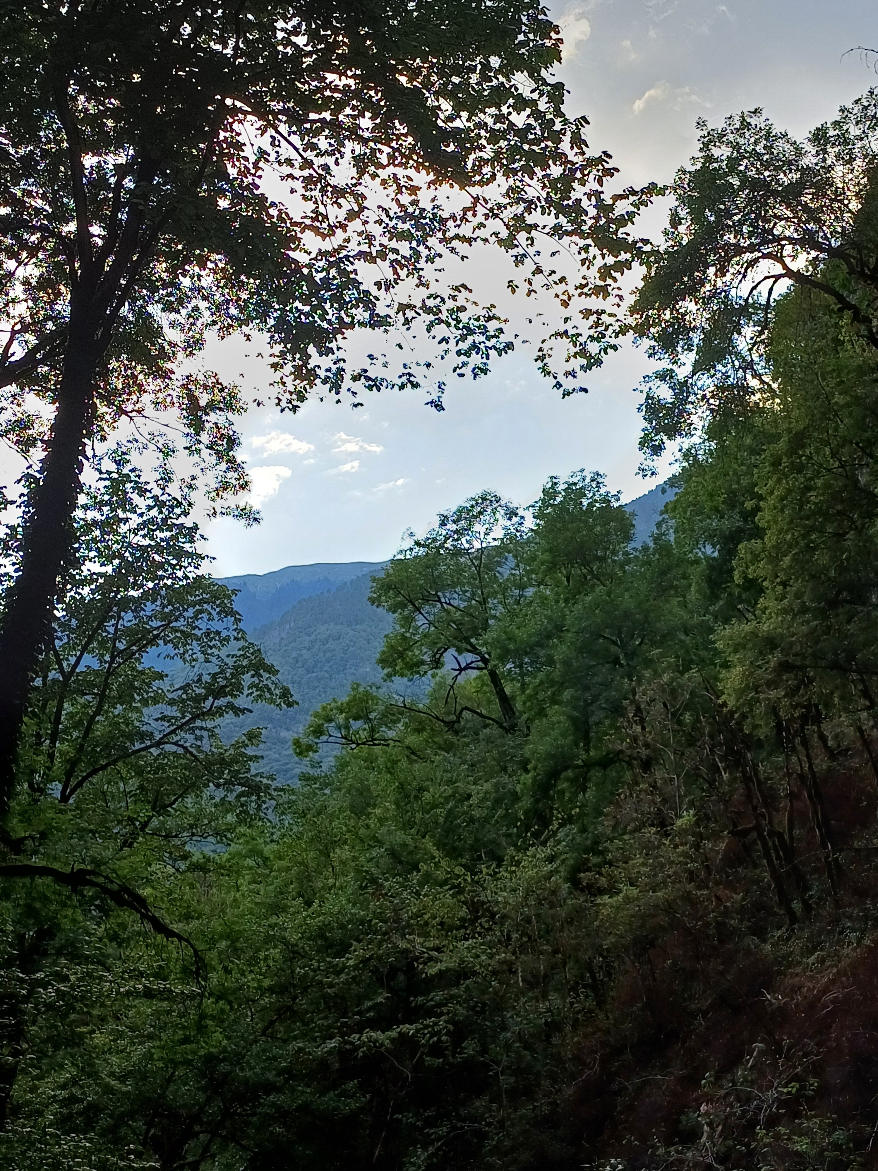 Фото Династия