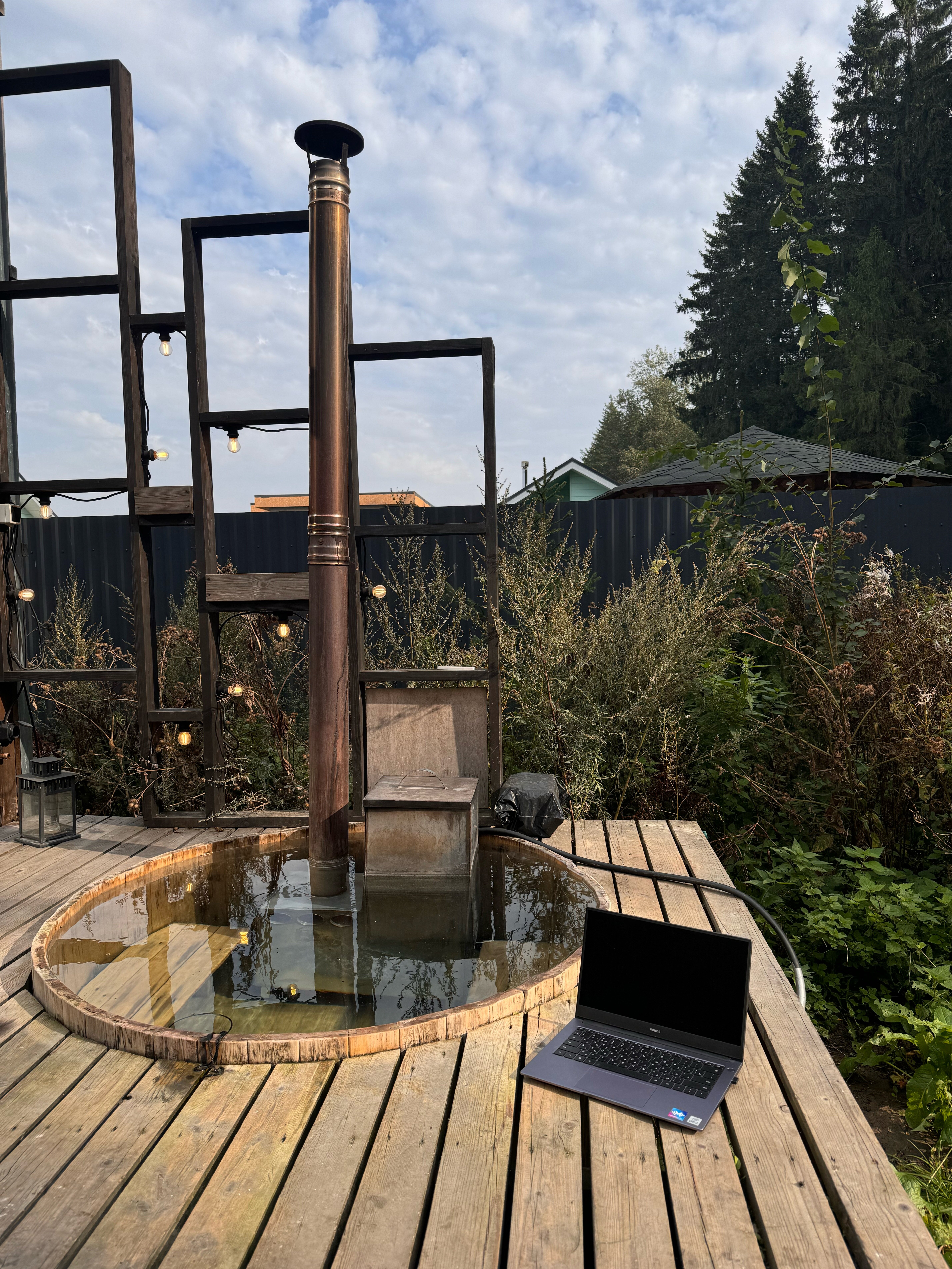 Фото Дзен в лесу