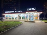 Magazin Tsvety (Sumskoy Drive, 9Б), flower shop