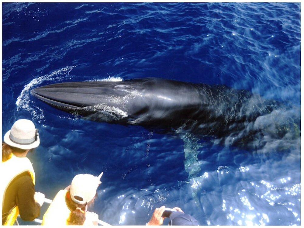 Фото Tosaryu Onsen Sanyoso