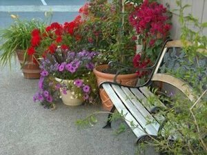 Гостиница Colton Inn