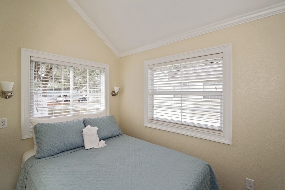 Фото Tropical Palms