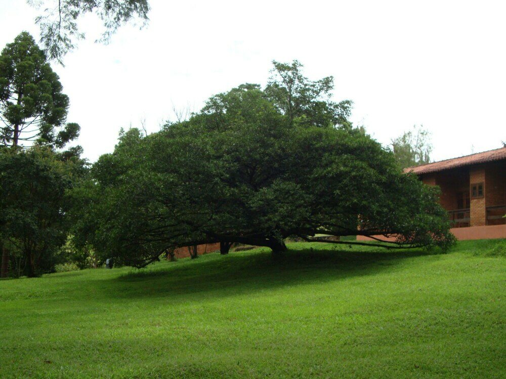 Фото Hotel Fazenda Vale Formoso