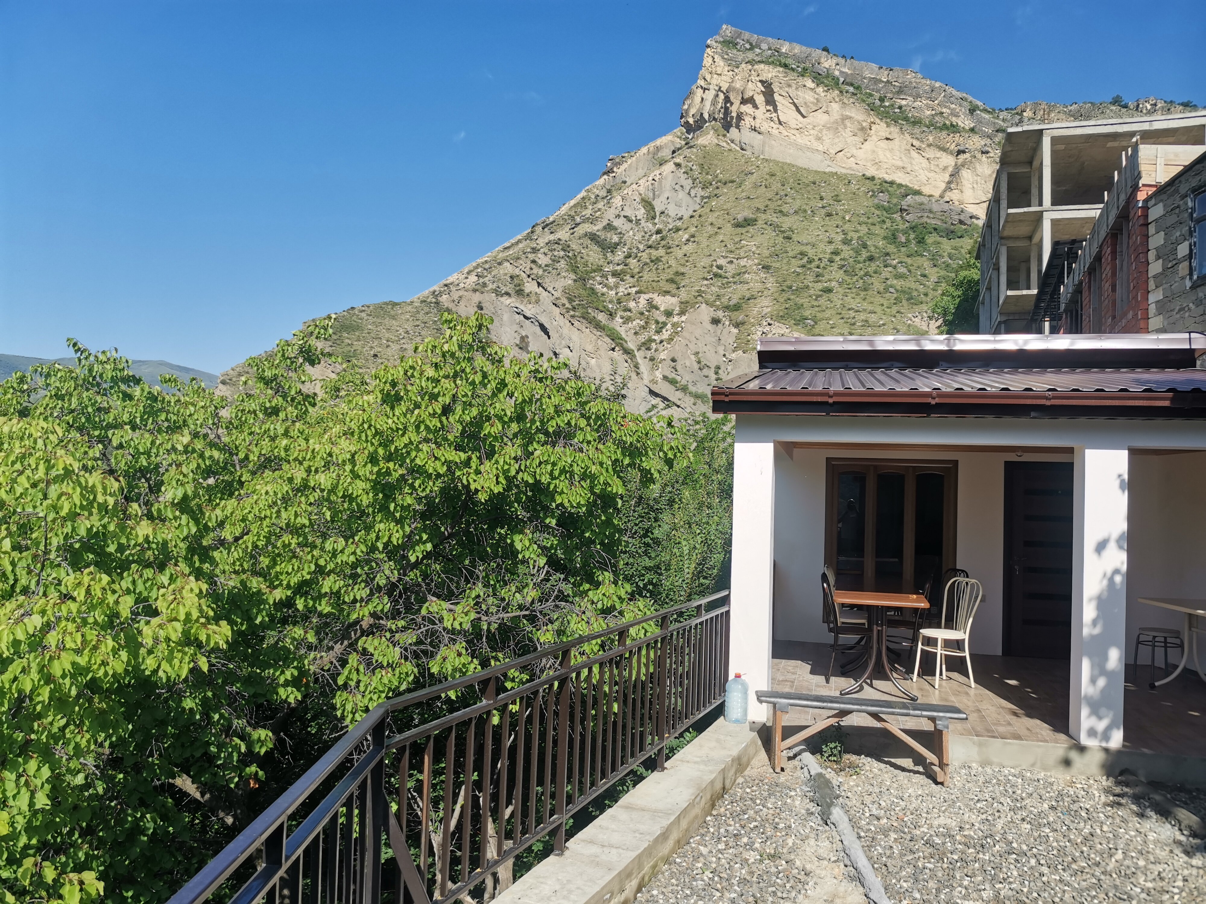 Фото Пение птиц