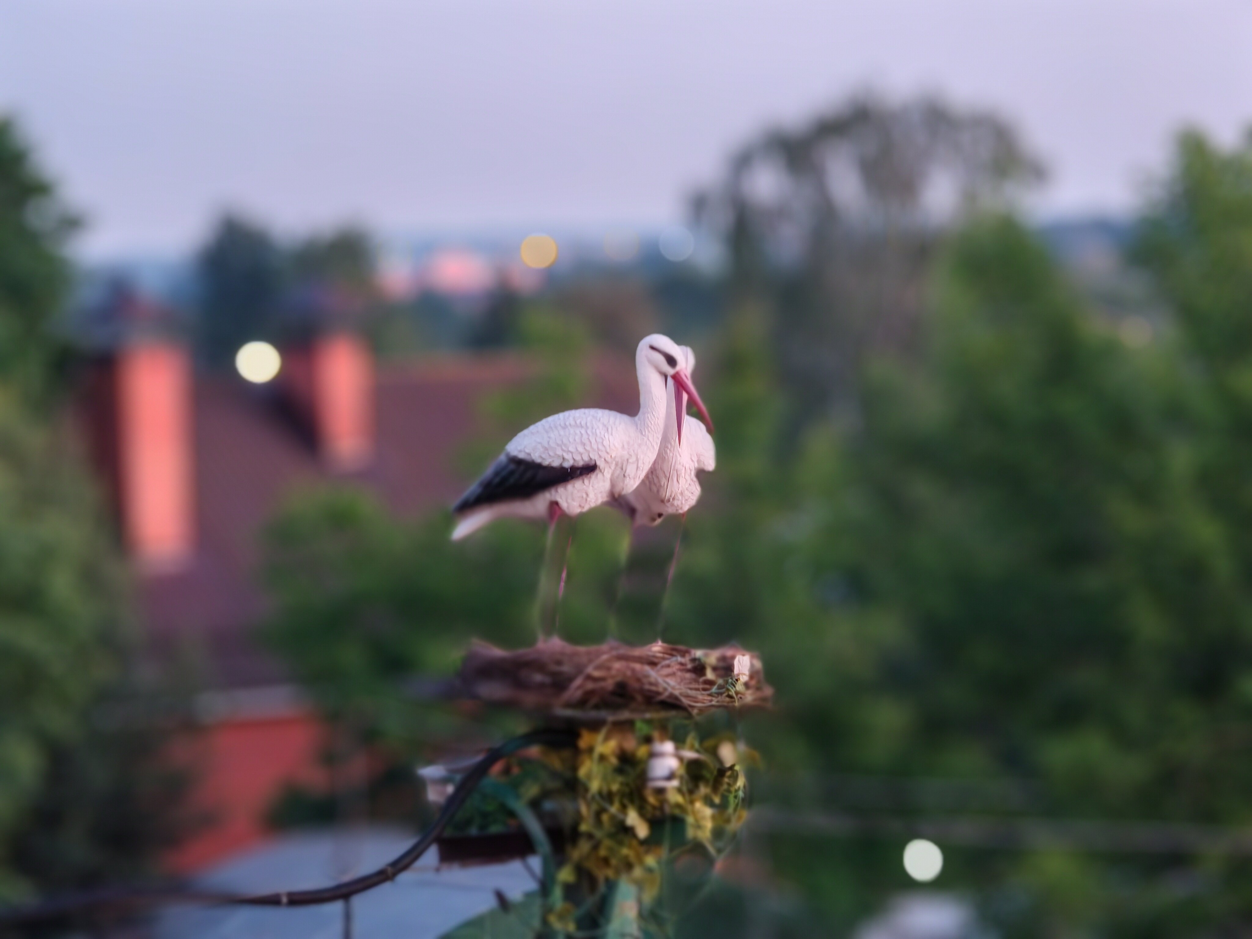 Фото Хантри