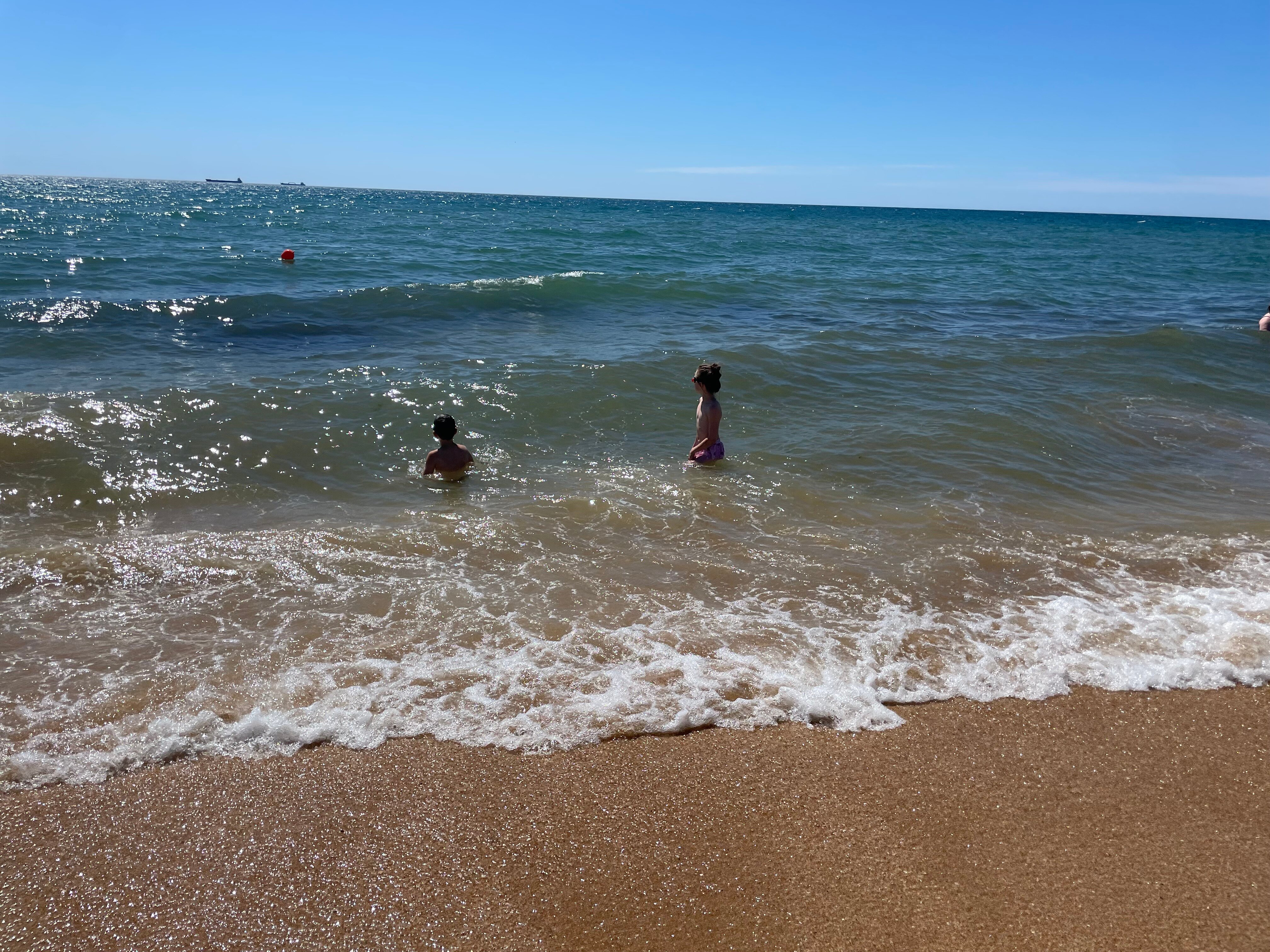 Фото Экзотик