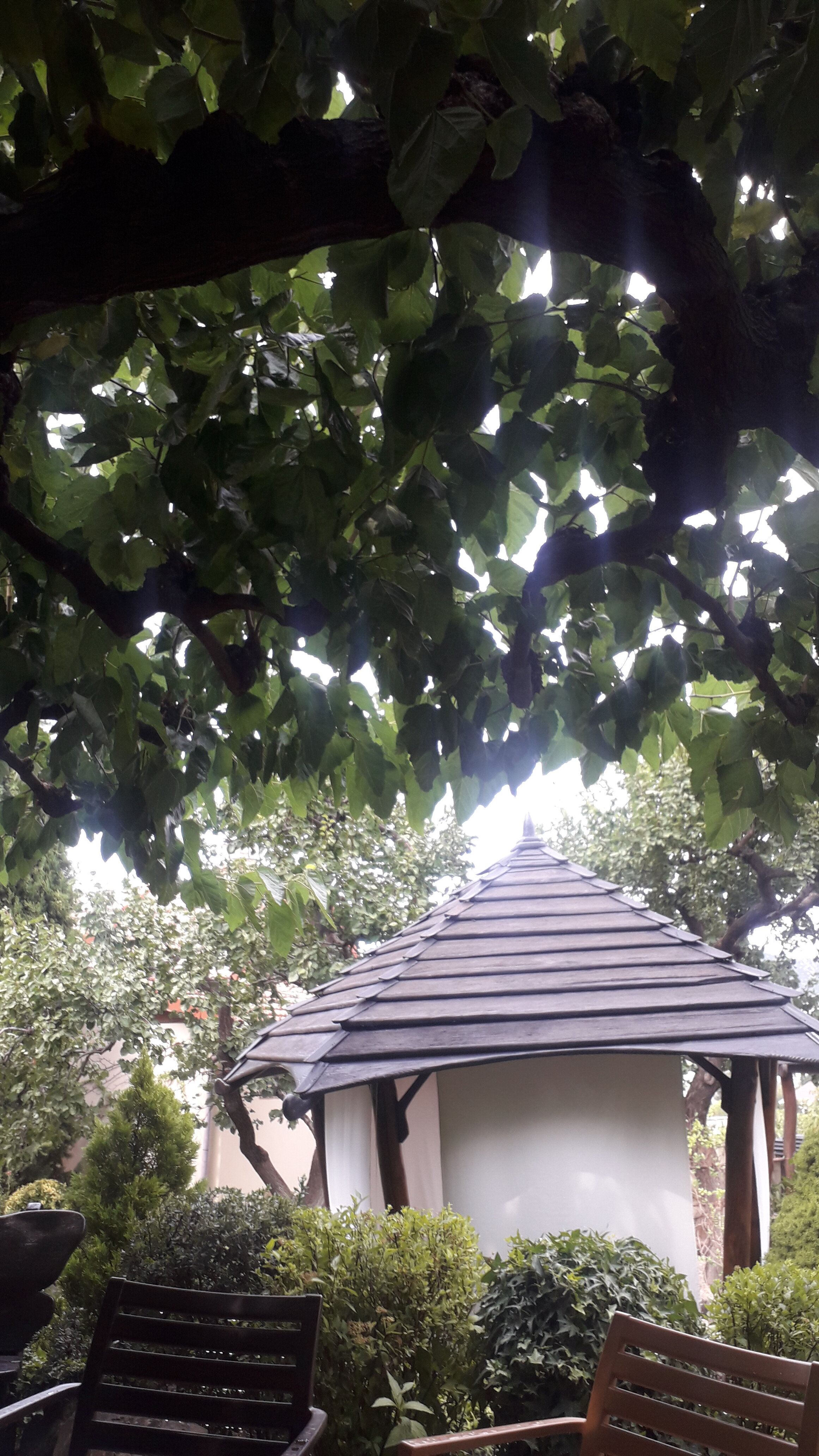 Фото Солнечный замок