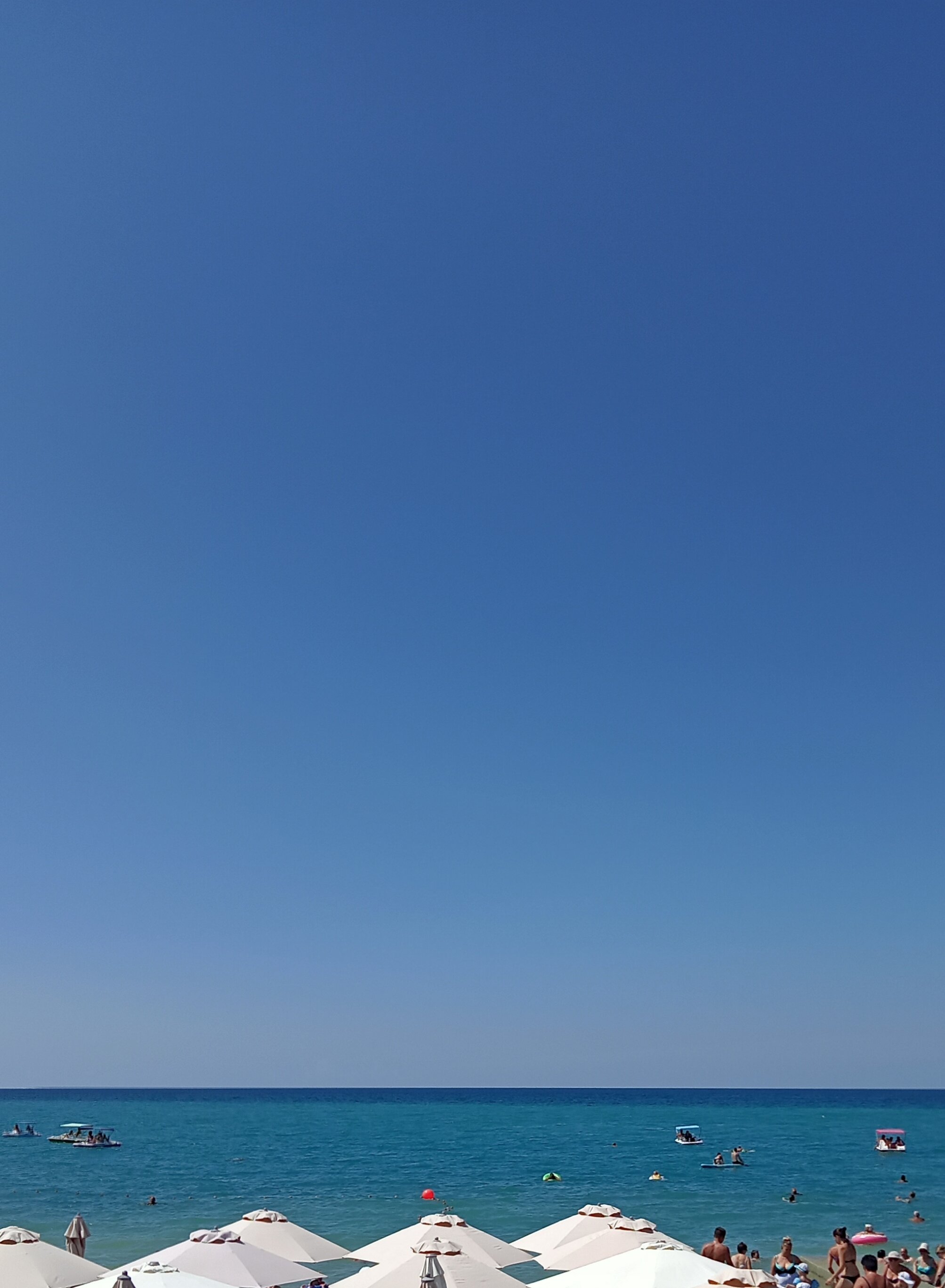 Фото Колосок