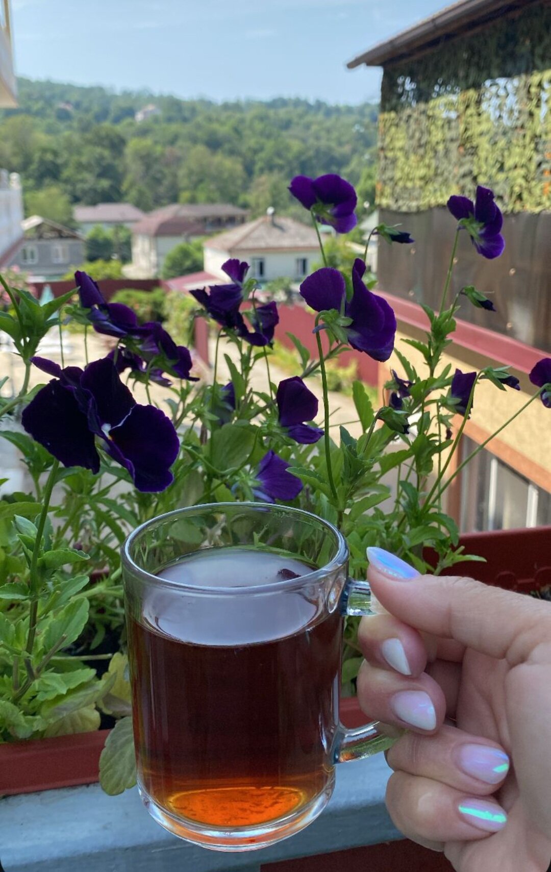 Фото Горное Ущелье