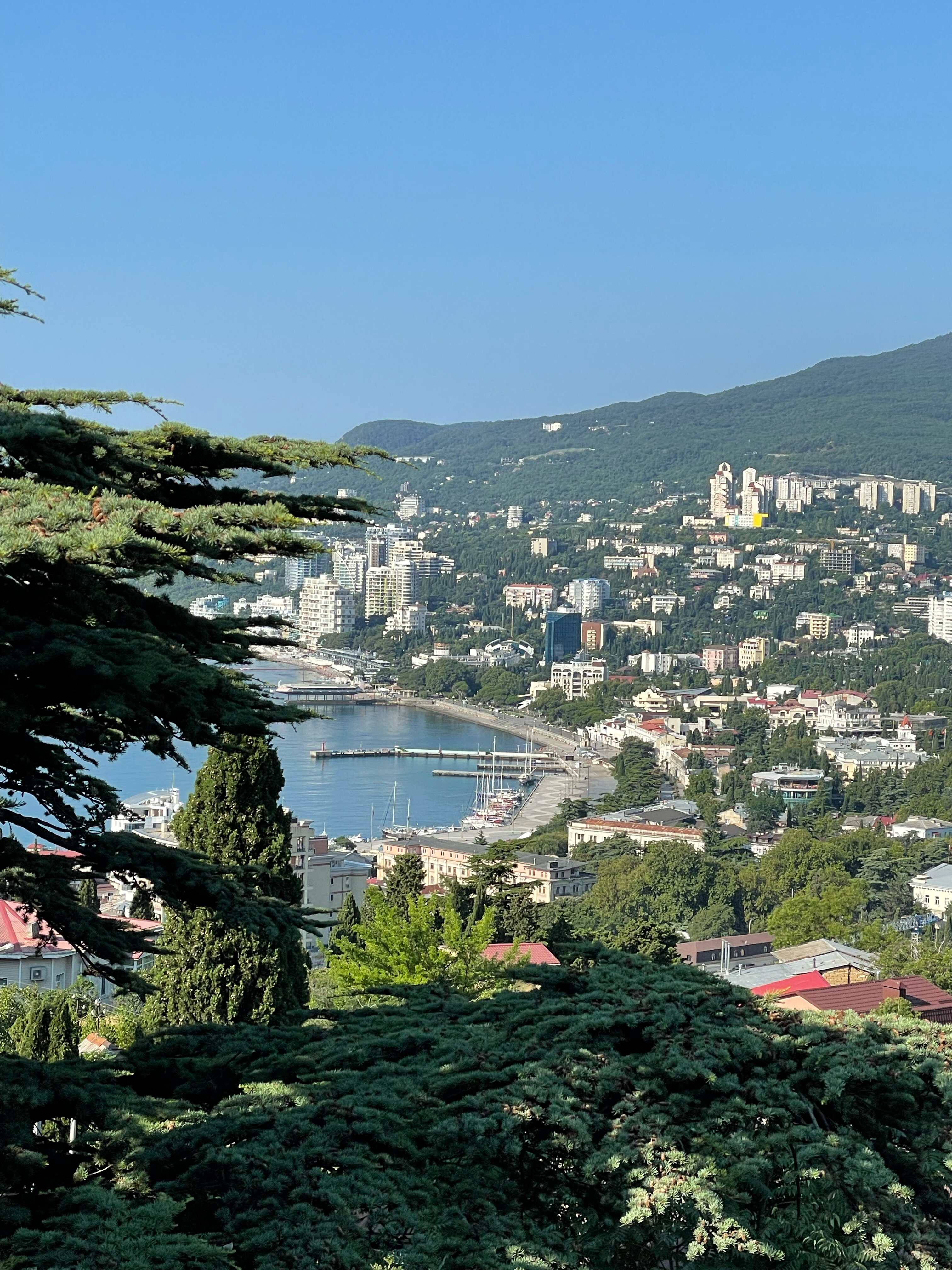 Фото Мистер Тукер