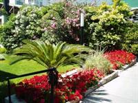 Фото Hotel Cervantes