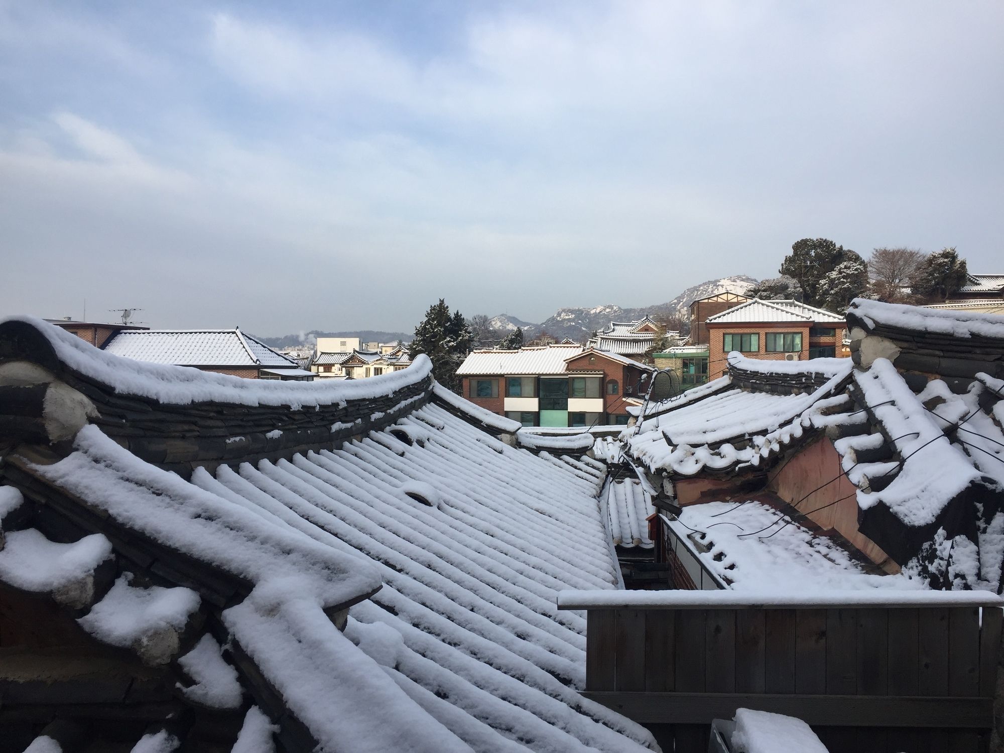 Фото Mon Oncle a Seoul