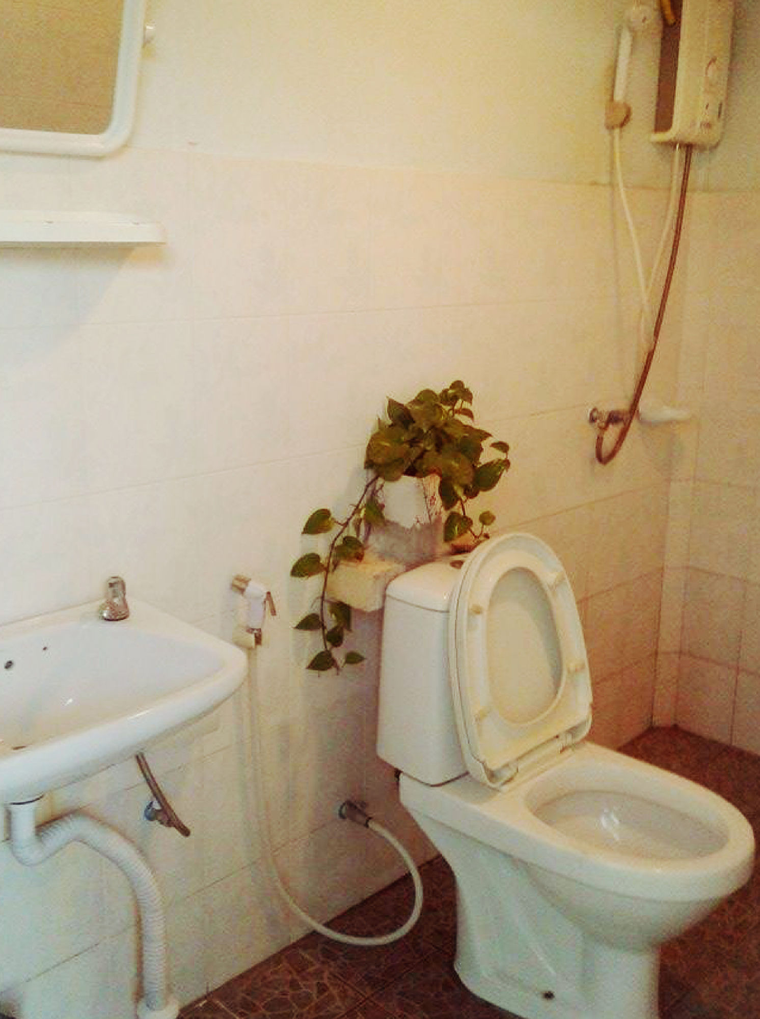 Фото My Home Guest House