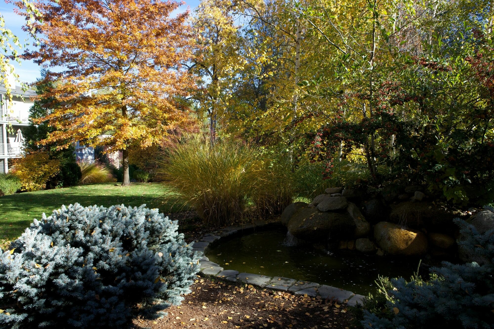 Фото Plaza Inn & Suites at Ashland Creek