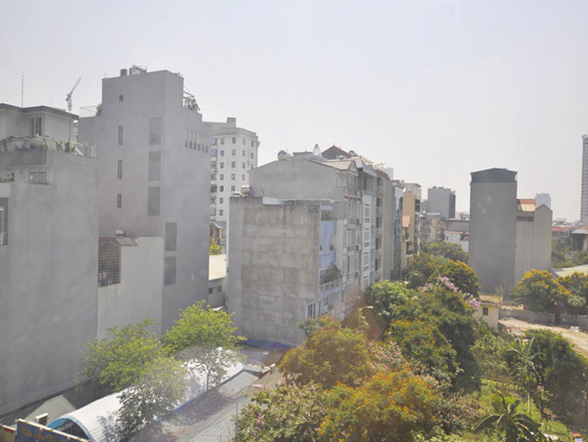 Фото The Bloom Classic