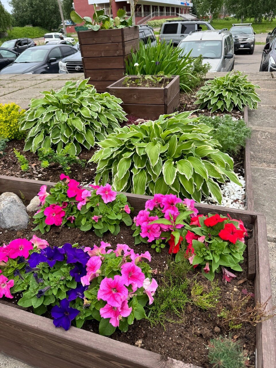 Фото Беломорская