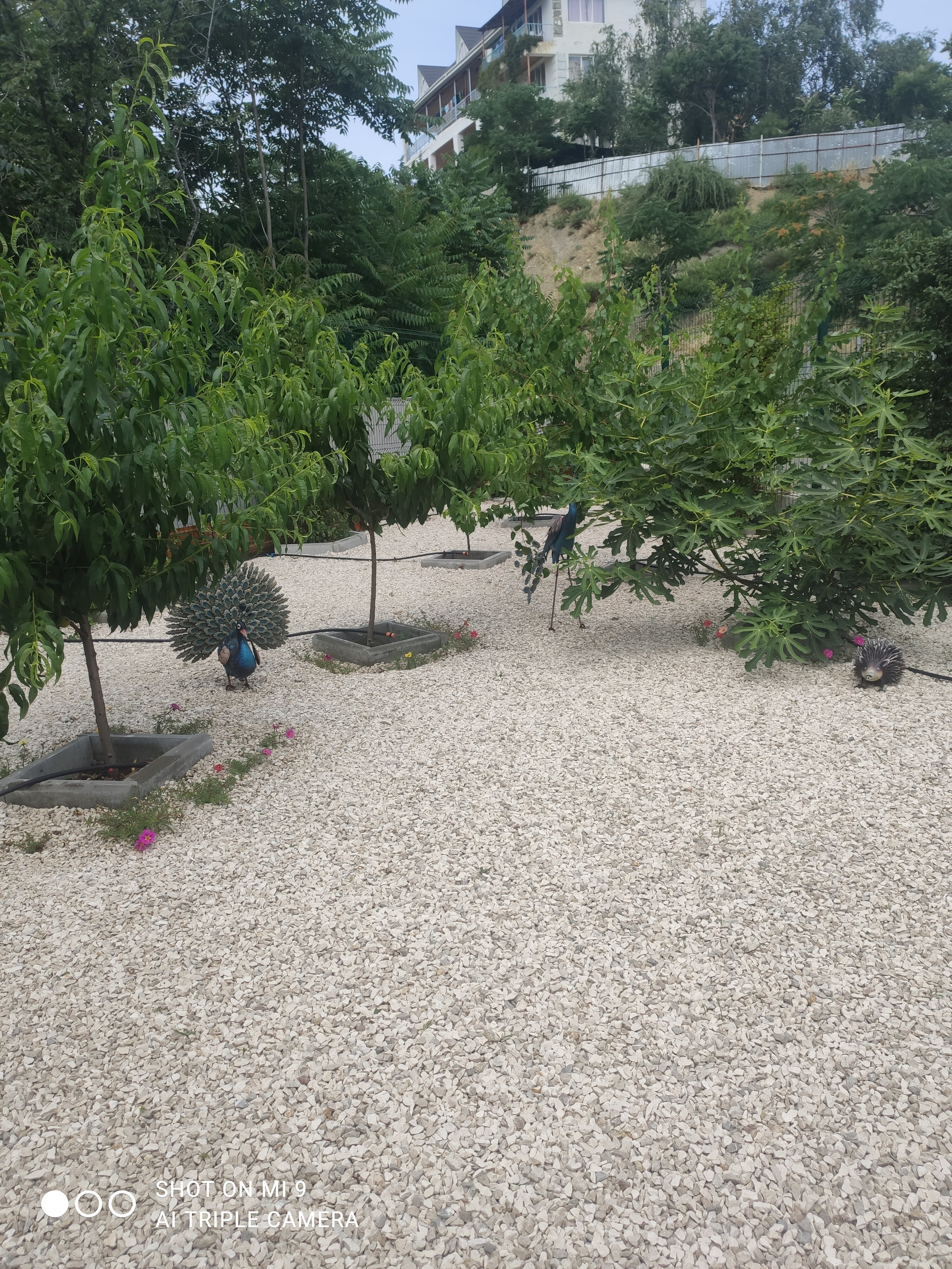 Фото Баловень судьбы