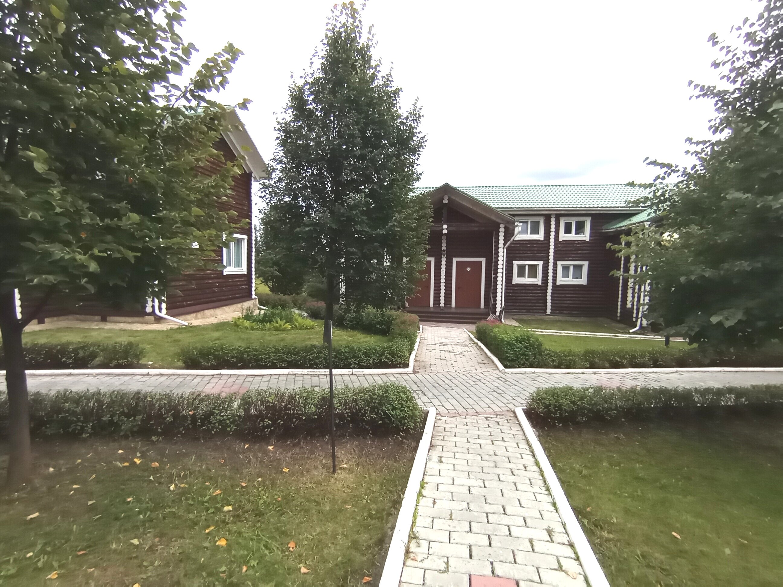 Фото Белая лошадь