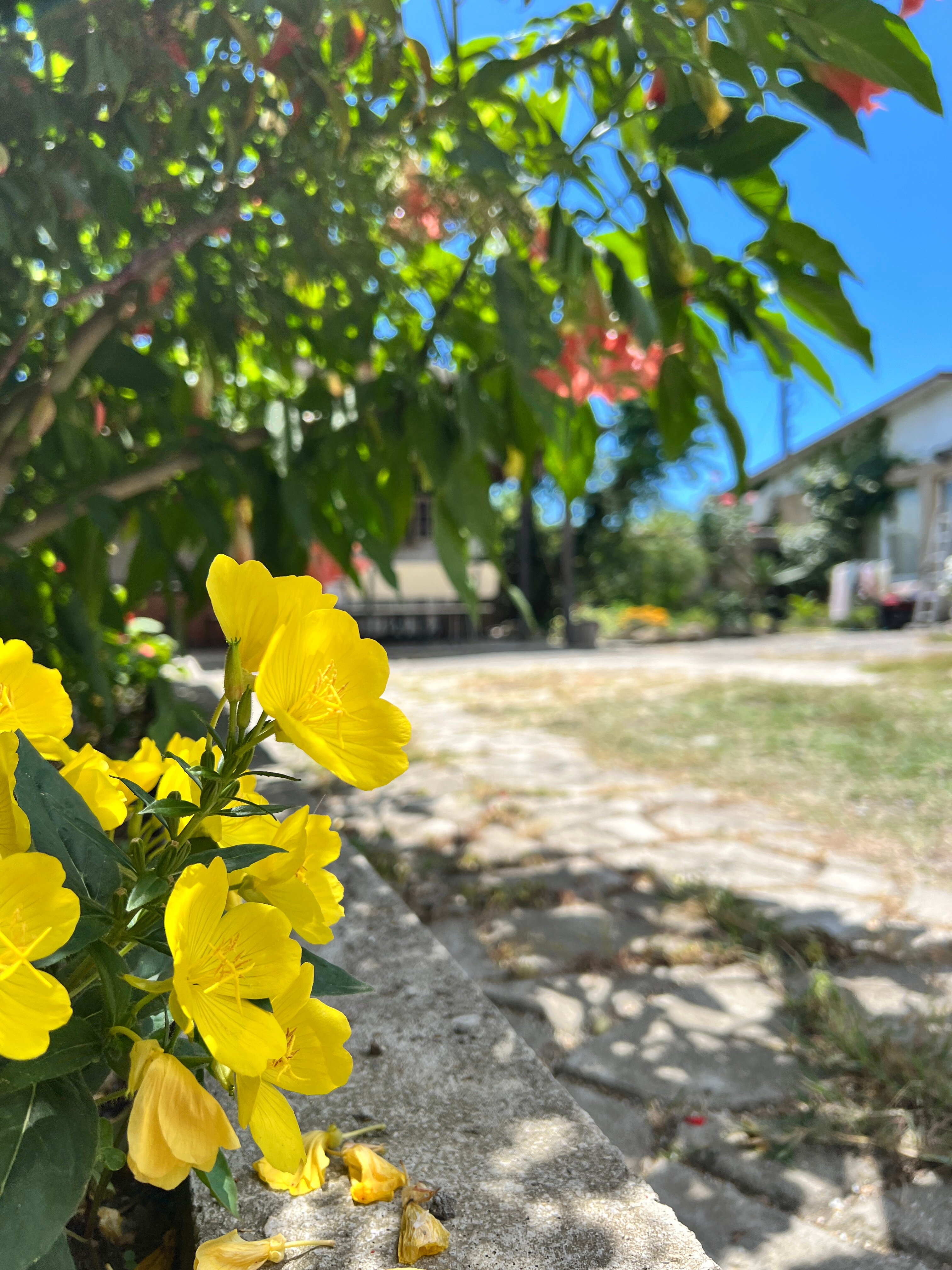 Фото Шале у моря