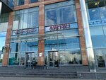 HubEx (Aptekarskaya Embankment, 20), it company
