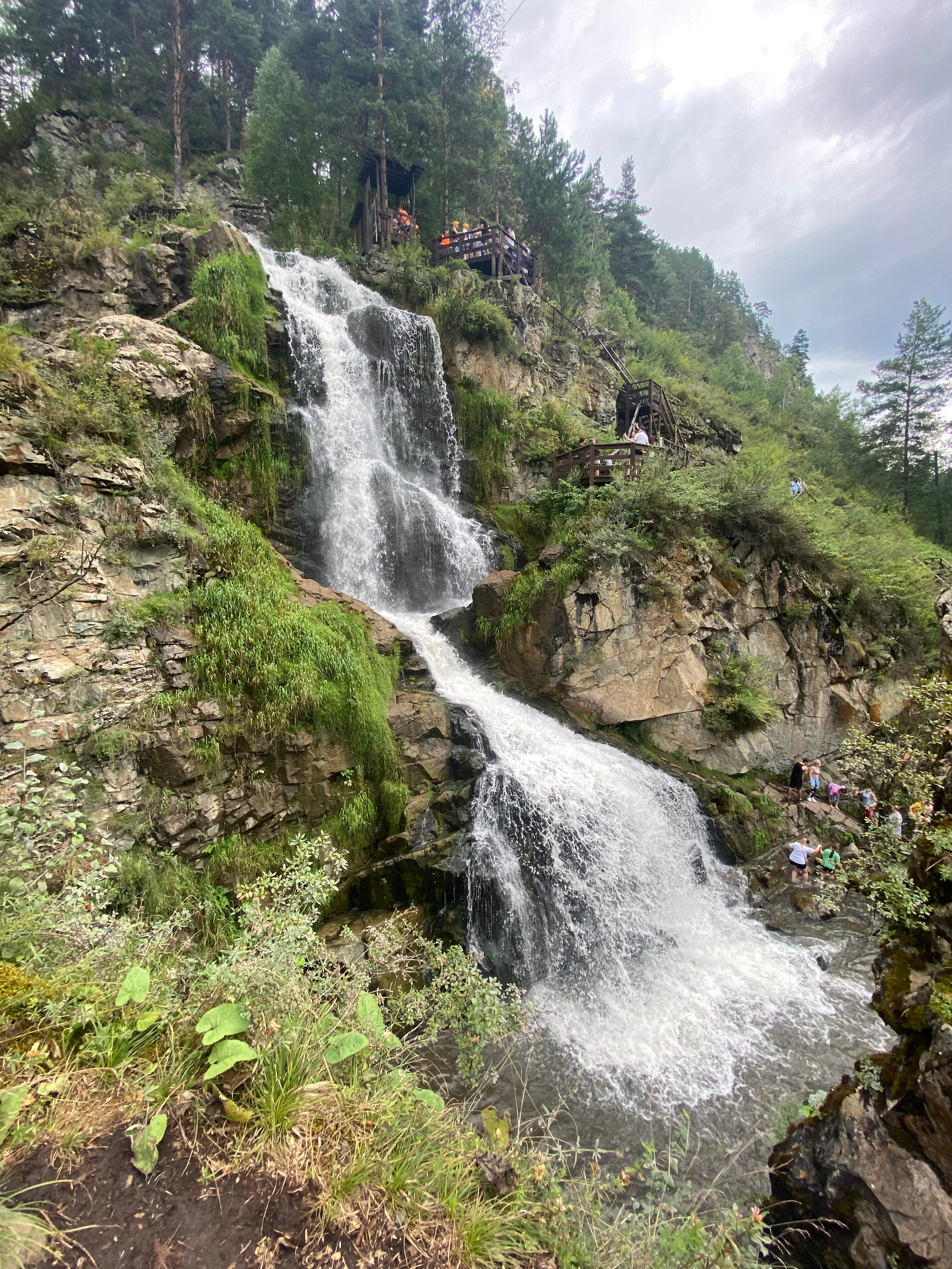 Фото Летний сад