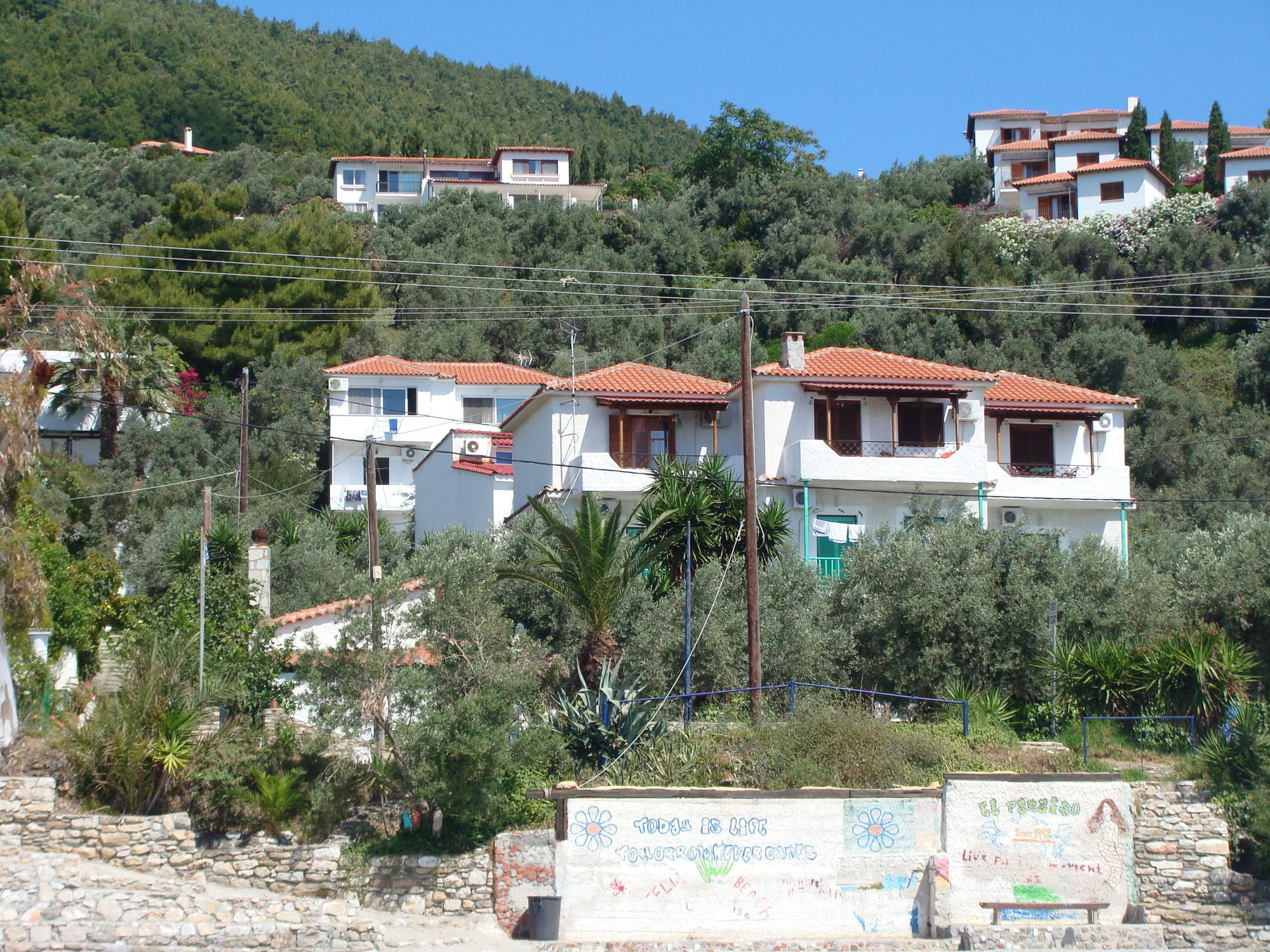 Фото Azalea Studios